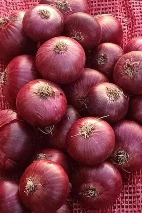 Onion Red x10kg Bag