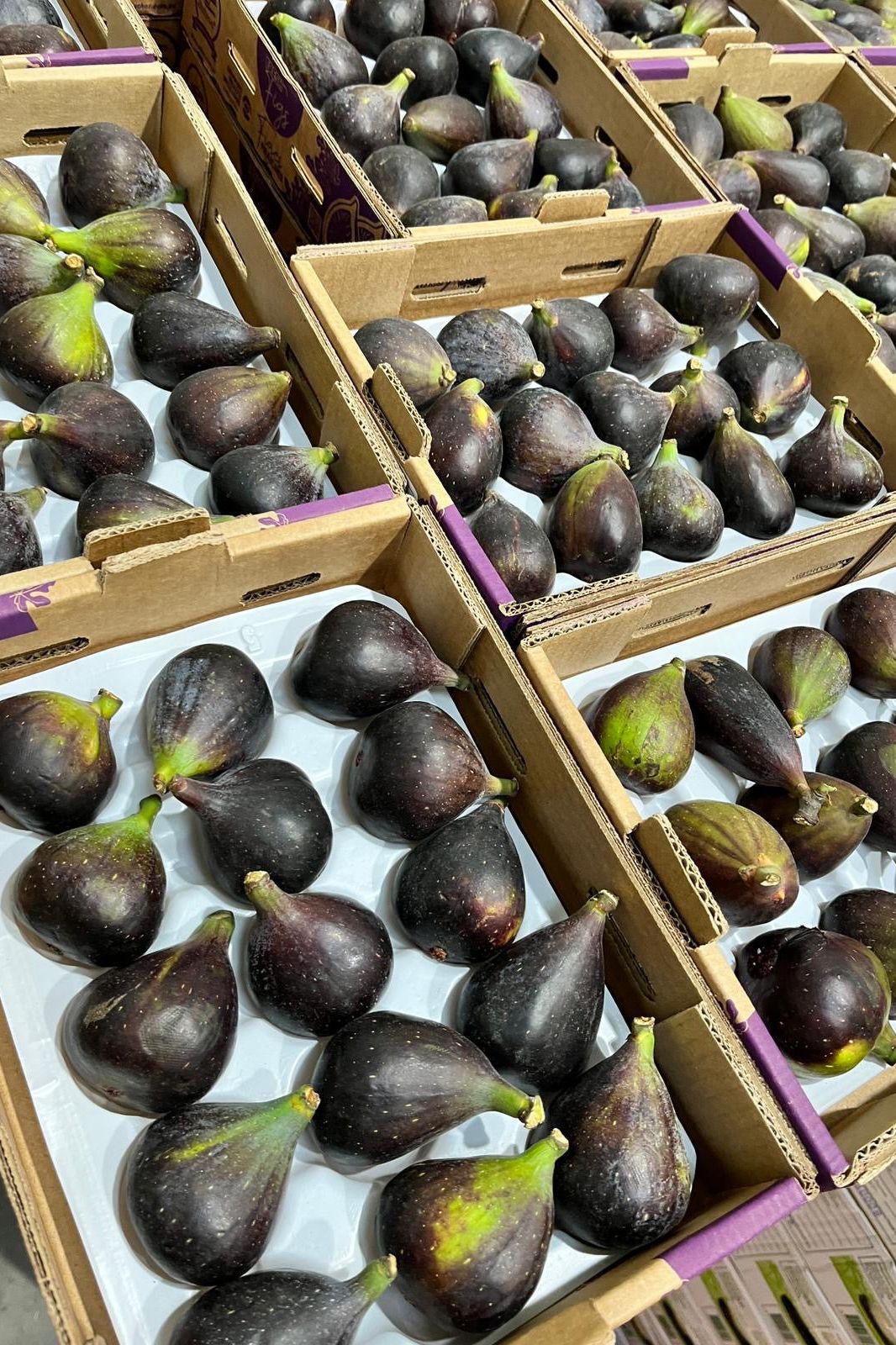 Figs Peru (x1Kg) Loose Box