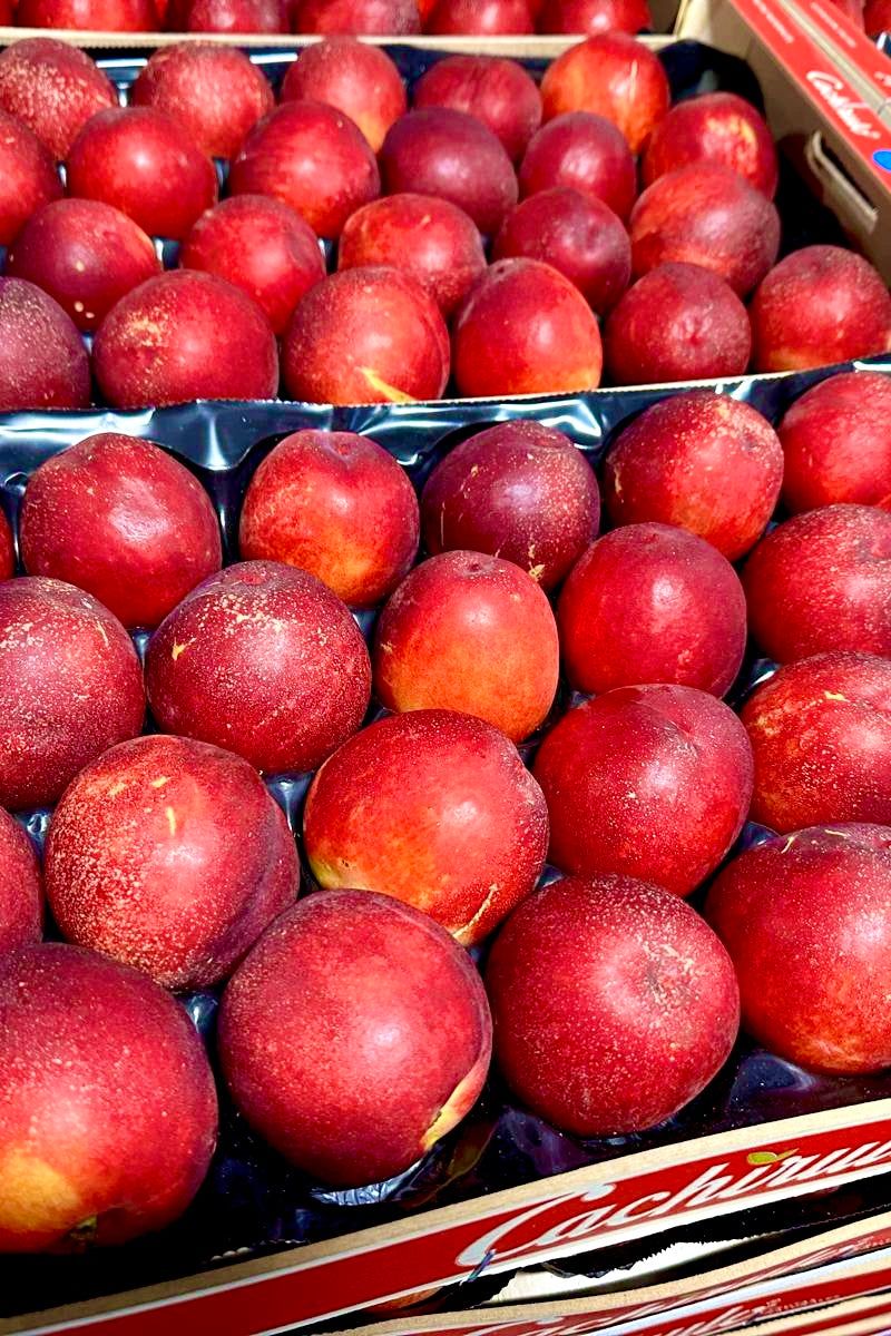 Nectarine [spanish] Tray - Jackie Leonards