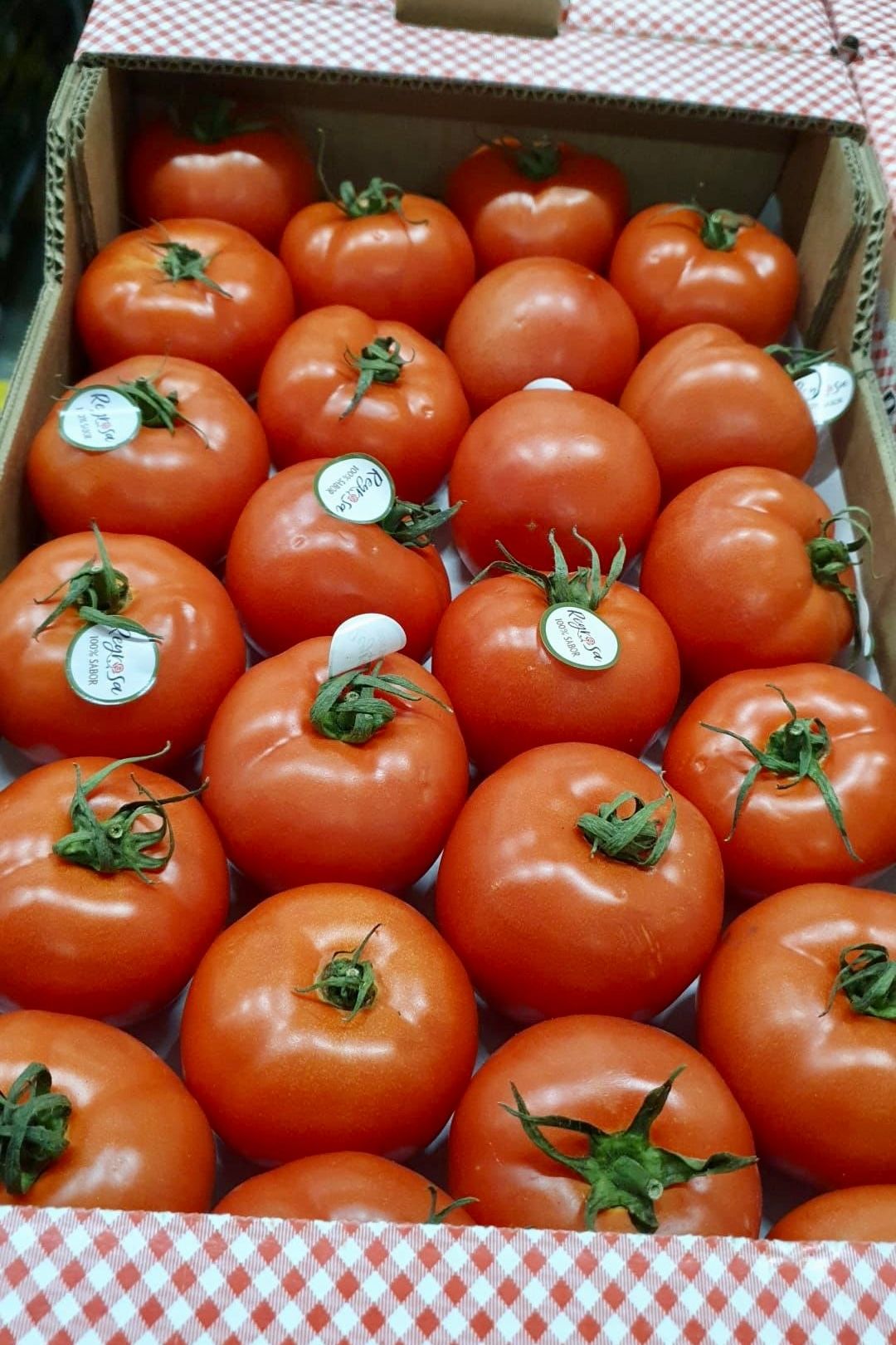 Tomato Beef  x7Kg Case