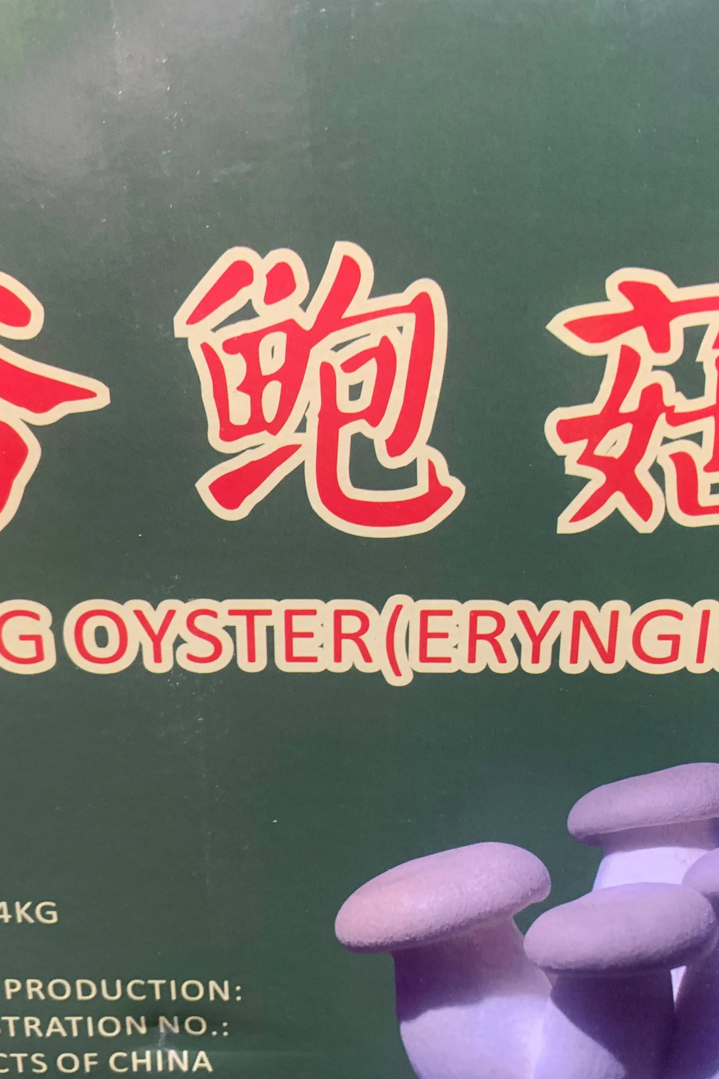 Mushroom King Oyster [x4kg] Box