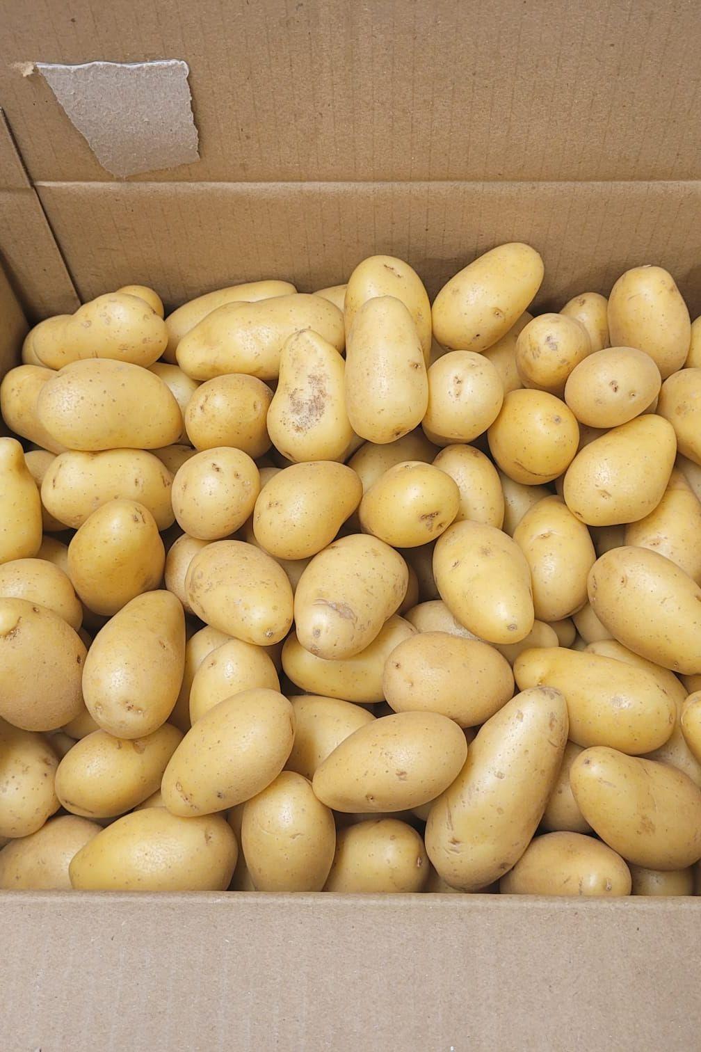 Potato Baby (x10Kg) Box