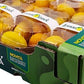 Lemon Snack [8x250grms] Box