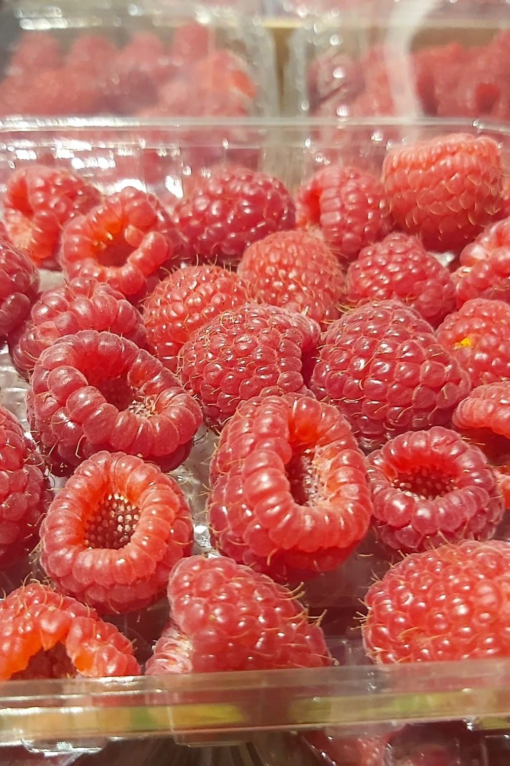 Raspberries (12x125grm) Box