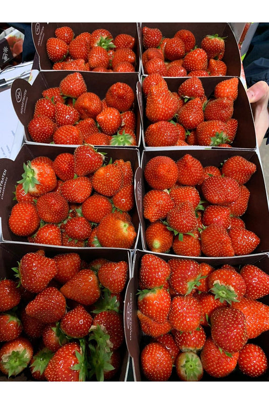 Strawberries [16x250grm] Box